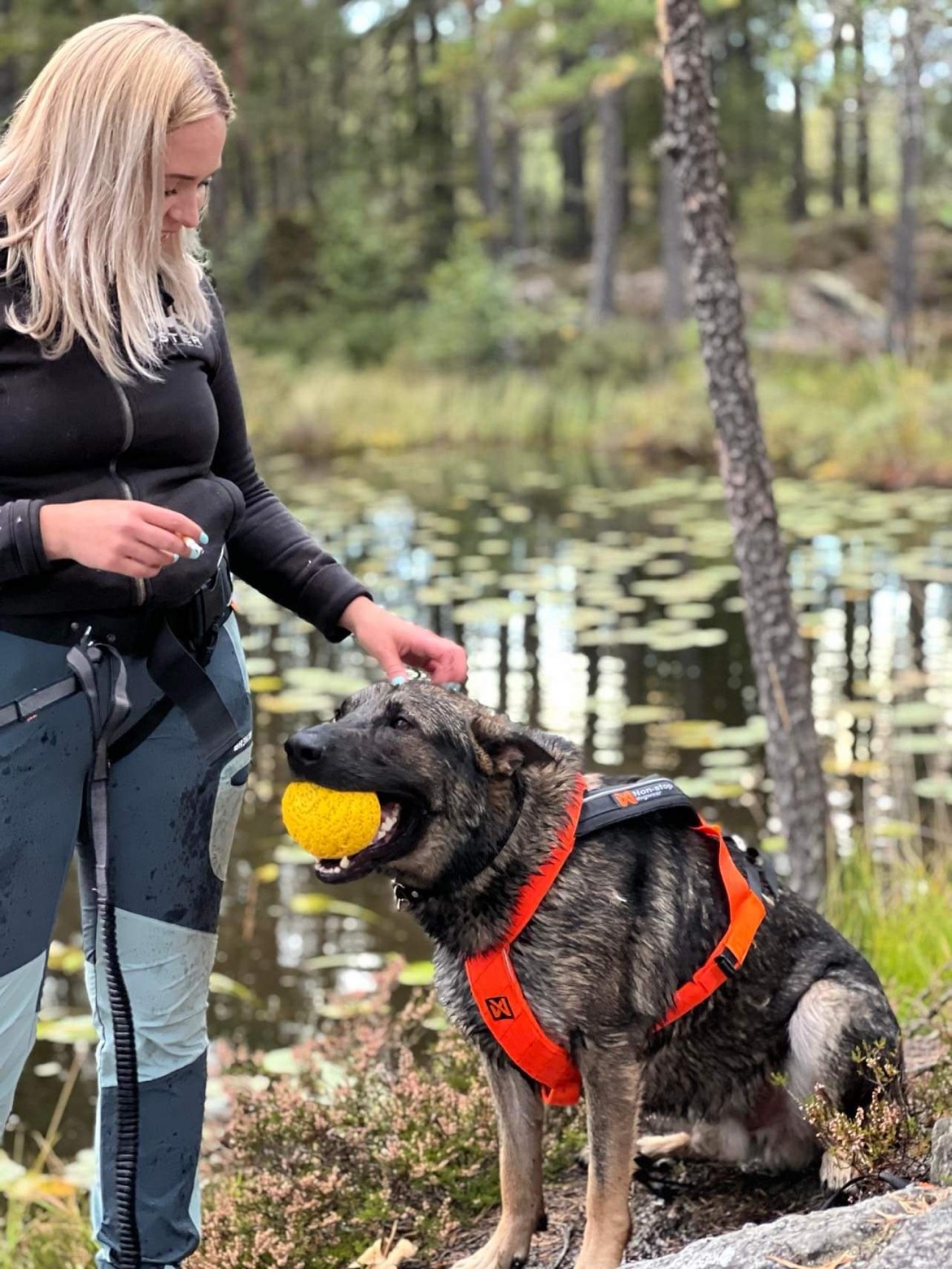 Dog training and ball playing