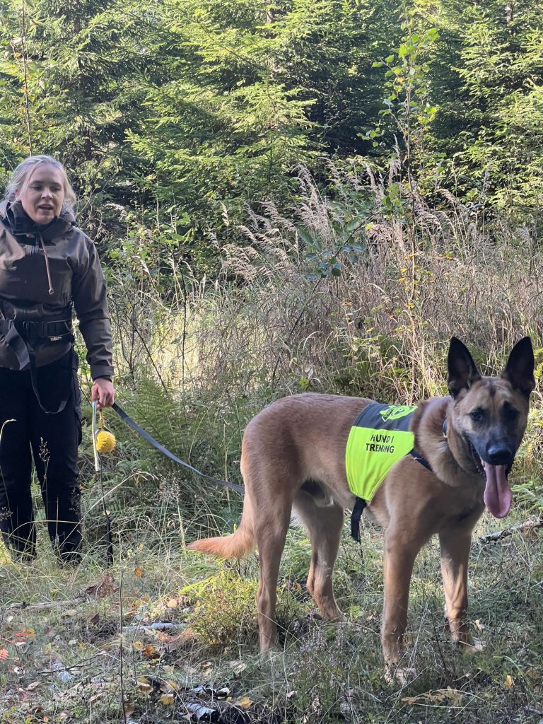 tracking training at balanced paws academy