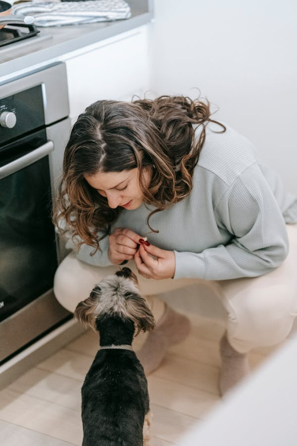 owner training dog inside through online courses